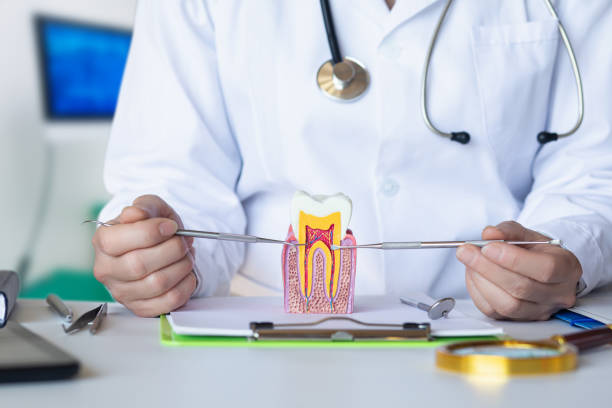 Best Broken or Cracked Tooth Emergency Dentist in Newfoundland, NJ